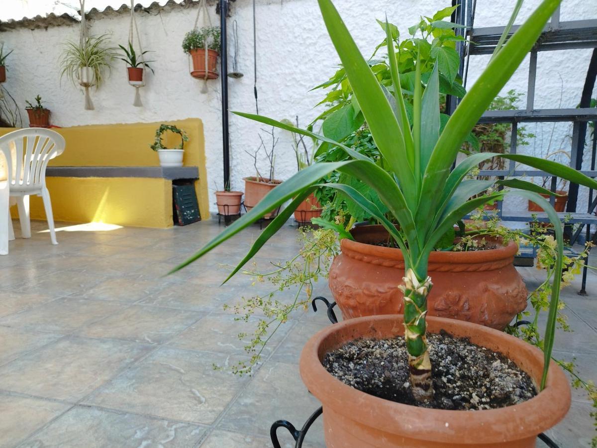 Voulas Guest House Volos Exterior foto